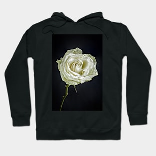 Single White Rose with Raindrops and Black Background Hoodie